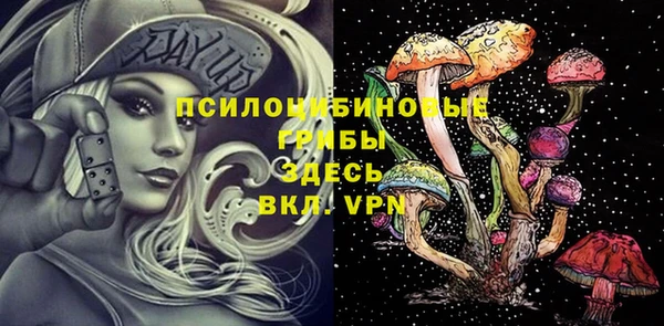 apvp Волосово
