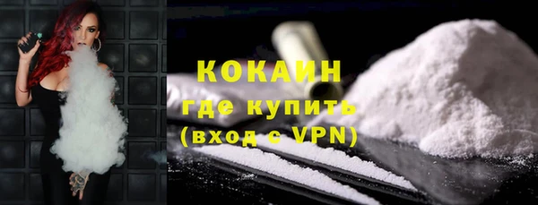 индика Ступино