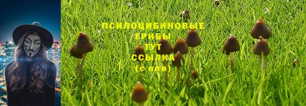 Альфа ПВП Володарск