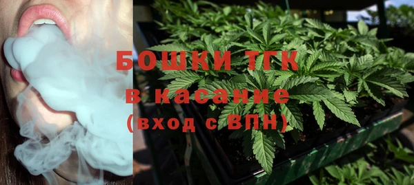 индика Ступино