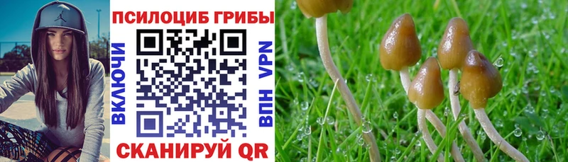 Галлюциногенные грибы GOLDEN TEACHER  купить  сайты  Карачаевск 